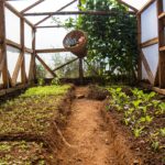 Ghunsa, Solukhumbu - Organic Farm